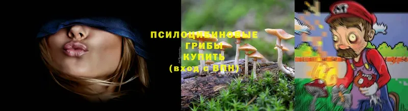 наркошоп  Курск  Псилоцибиновые грибы Psilocybine cubensis 