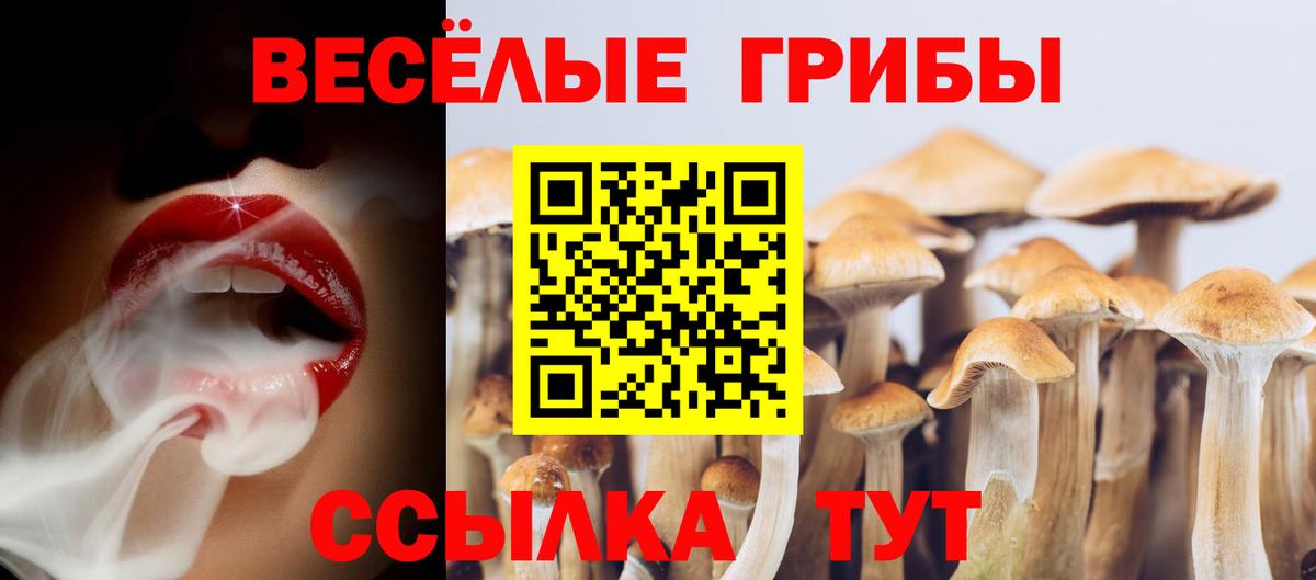 Курск  Псилоцибиновые грибы мухоморы  Вход с VPN 