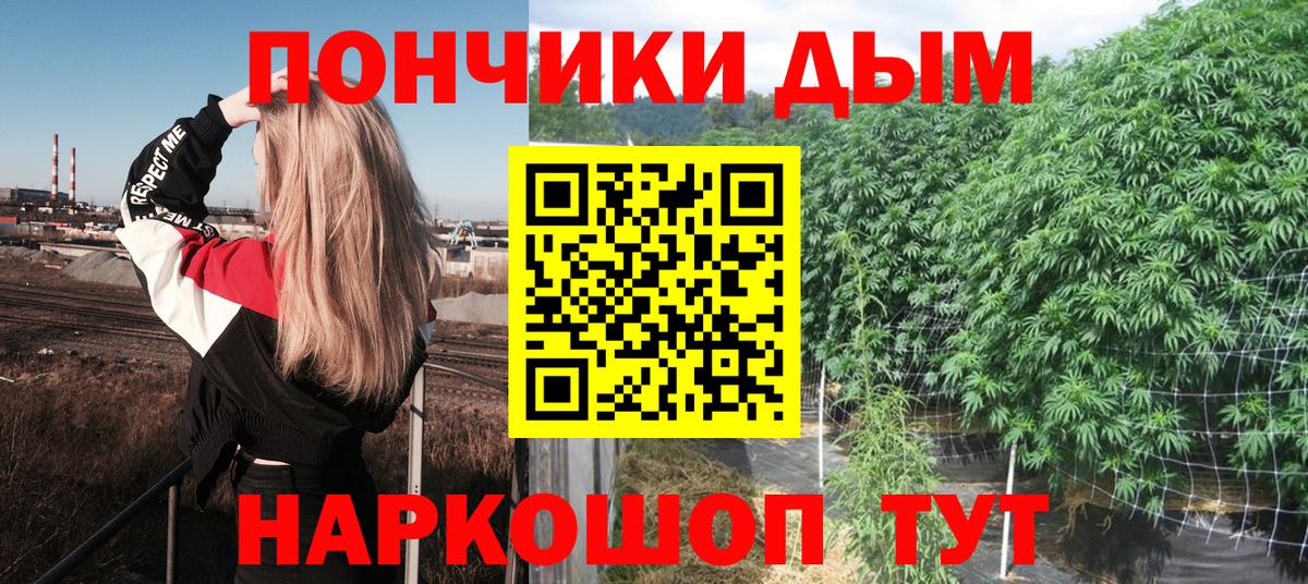 Каннабис OG Kush Курск